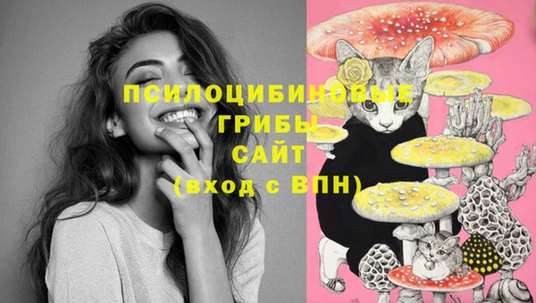шишки Белоозёрский