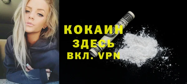 шишки Белоозёрский