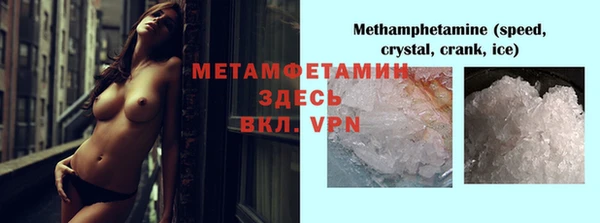 шишки Белоозёрский