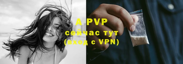 прущие крисы Беломорск