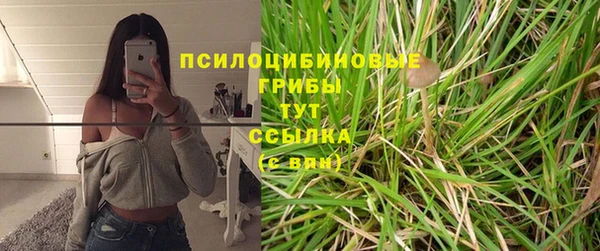 прущие крисы Беломорск