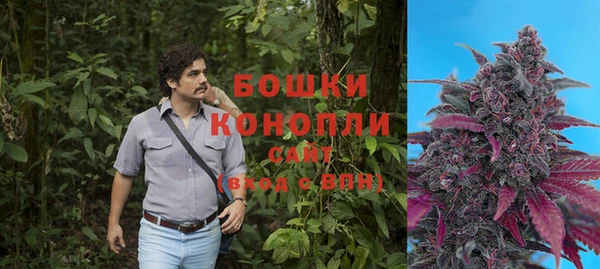 прущие крисы Беломорск