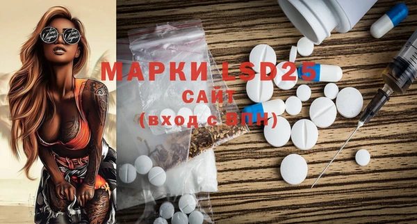 шишки Белоозёрский