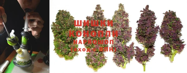 прущие крисы Беломорск